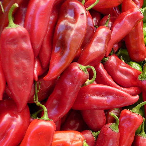 Marconi pepper deals