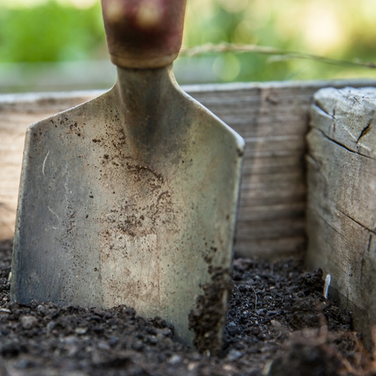 trowel in soil