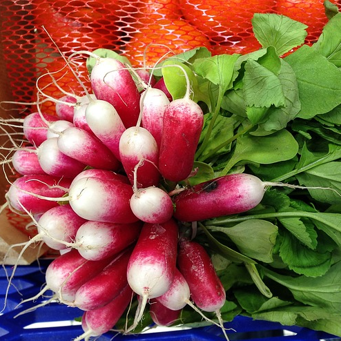 Radish French Breakfast 2