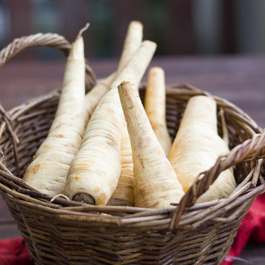 parsnip seeds