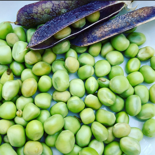 peas with purple pods