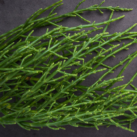 Samphire