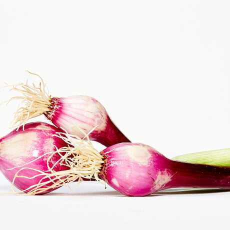 purple spring onions