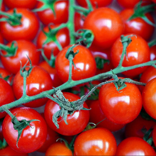 cherry tomatoes