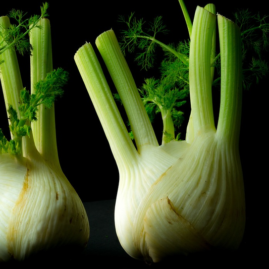 fennel bulbs