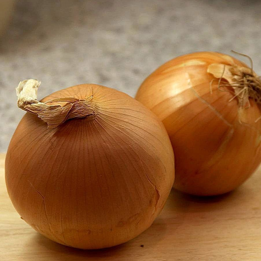 yellow sweet onion bulbs