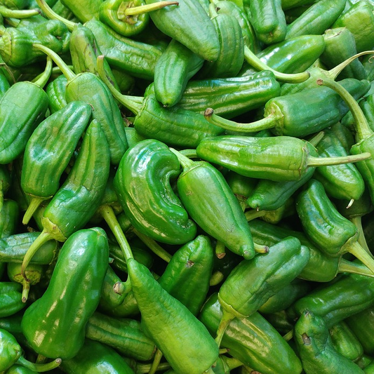 Pepper Padron