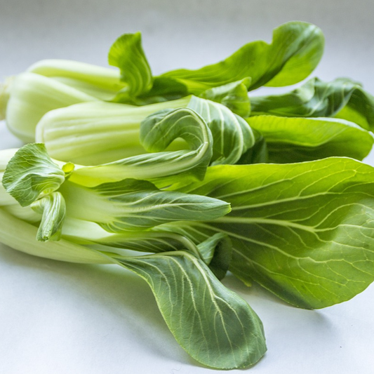 white stem pak choi plants